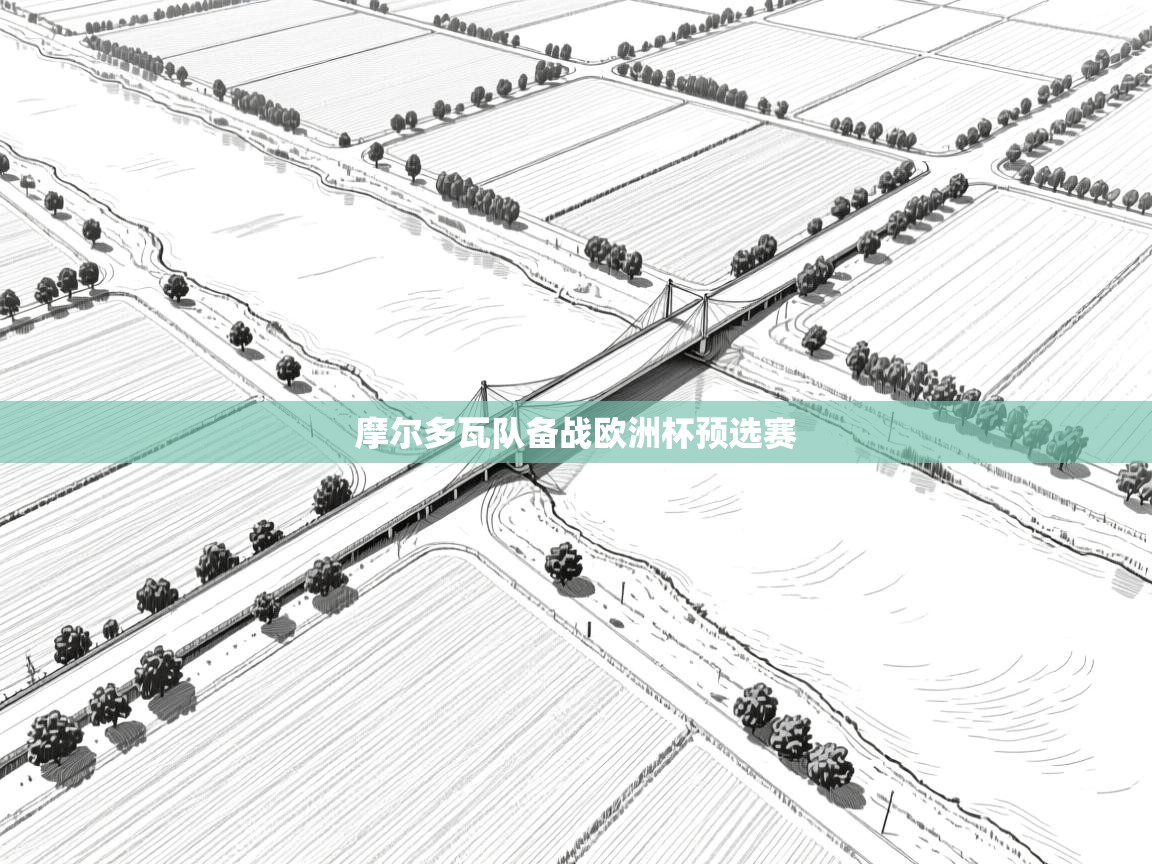 摩尔多瓦队备战欧洲杯预选赛 第2张